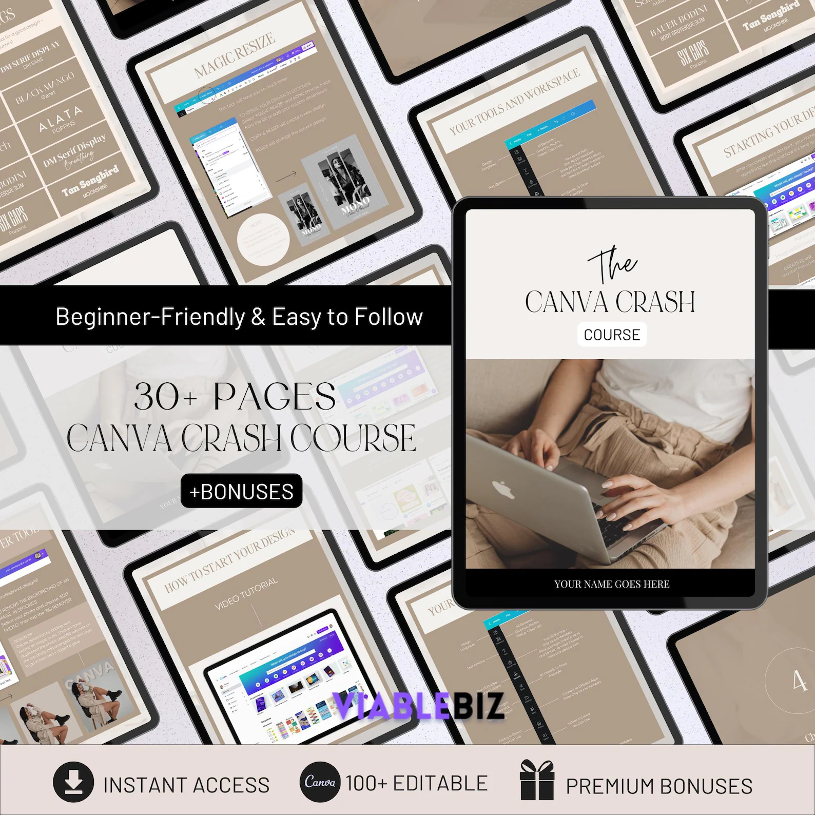 Canva Crash Course, PLR Digital Products To Resell, MRR/PLR